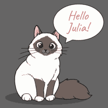 Hello Julia Hi Jules GIF - Hello Julia Hi Jules Hi Julia GIFs