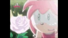 Amy Rose Crying GIF - Amy Rose Crying GIFs
