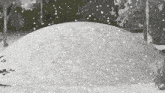 Catghost Snow GIF - Catghost Snow GIFs