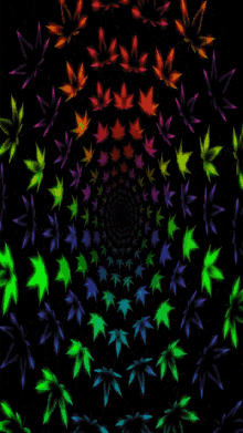 colorful marijuana leaves on a black background in a spiral pattern