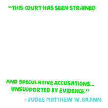 legal arguments without merit this court has seen strained speculative accusations unsupported evidence judge matthew w brann