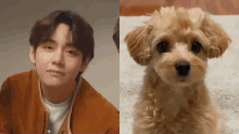 Taehyung Taehyung Puppy GIF - Taehyung Taehyung Puppy Taehyung Dog GIFs