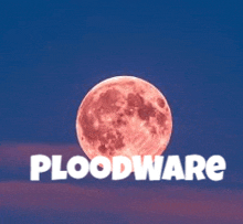 a picture of a full moon with the word floodware underneath it
