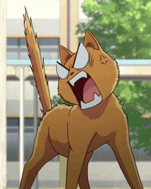 Angry Cat Yelling GIF - Angry Cat Cat Yelling GIFs