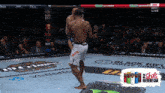 a fighter in a boxing ring is sponsored by vebette