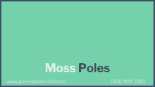 Moss Poles Pot Clips GIF - Moss Poles Pot Clips Tree Fern Totem GIFs