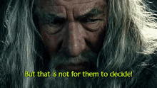 Gandalf But That Is Not For Them To Decide GIF