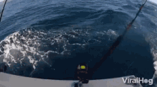Whale Breach GIF