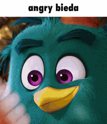 a close up of a cartoon bird with the words angry bieda above it