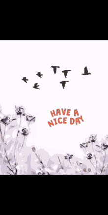 Nice Day Flying Birds GIF - Nice Day Flying Birds Peaceful GIFs