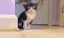 Hi Cam GIF - Hi Cam Cameron GIFs