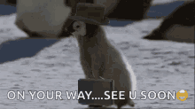 On Your Way See You Soon GIF - On Your Way See You Soon Penguin GIFs
