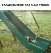 Escaping From Sea Slug Studio Cats GIF - Escaping From Sea Slug Studio Sea Slug Studio Cats GIFs