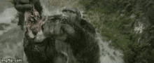 King Kong Battle GIF - King Kong Battle Fight GIFs
