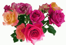 Flowers Move GIF - Flowers Move Pinkish GIFs