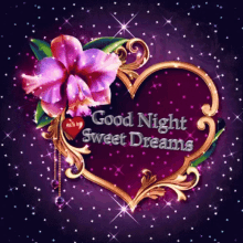 Good One Good Night GIF - Good One Good Night Sweet Dreams GIFs