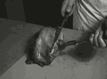 Happy Thanksgiving Carving The Turkey GIF - Happy Thanksgiving Carving The Turkey November GIFs