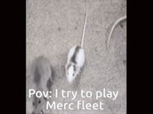 Merc Fleet Meme GIF - Merc Fleet Meme Pov GIFs