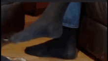 super deluxe jordan peterson black socks