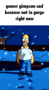 a cartoon of homer simpson standing in the snow with the caption " gomer gimpson sad because not in gorge right now "