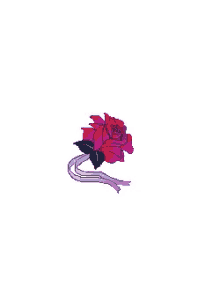 Flower Roses GIF
