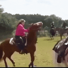 horsie horse neiighh neigh backflip