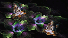 Lord Shiva Flower GIF - Lord Shiva Flower Changing Colors GIFs