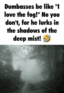 Fog Spooky GIF - Fog Spooky Scary GIFs
