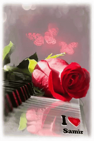 Love You Wallpaper GIF - Love You Wallpaper Rose - Discover & Share GIFs