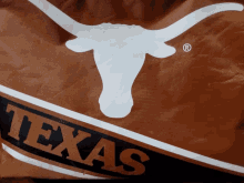 Hookem Texas GIF