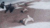a blurred image of a person laying on the ground in the snow .