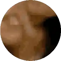 a pixelated image of a person 's face in a circle on a white background