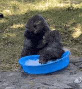 a gorilla is sitting in a blue bowl of ice