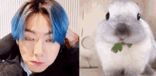 Jeonfcs Jungkook GIF - Jeonfcs Jungkook Bunny GIFs
