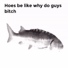 Hoes Be Like Spinning Fish GIF - Hoes Be Like Spinning Fish GIFs