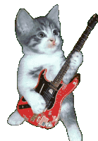 котикагань Kitten Rocks Guitar Sticker - котикагань Kitten Rocks Guitar Stickers