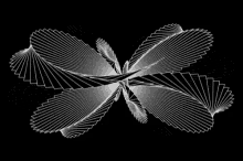 a black and white drawing of a butterfly 's wings on a black background .