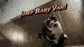 a calico cat is sitting on a wooden floor with the words jump baby van written above it