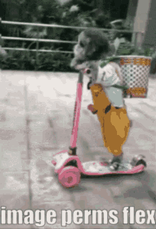 image perms flex dog scooter