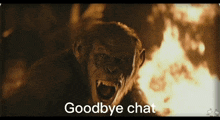 Planet Of The Apes Goodbye Chat GIF