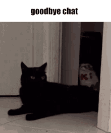 Goodbye Chat Cat GIF - Goodbye Chat Cat GIFs