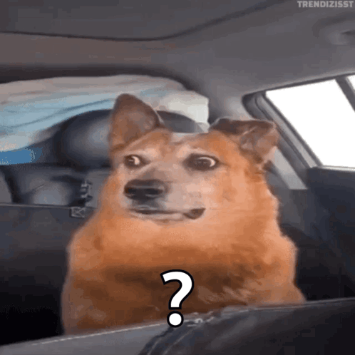 Gif de un perro con una pregunta - Preguntas Frecuentes