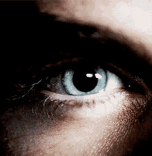 Damon Salvatore Ian Somerhalder GIF - Damon Salvatore Ian Somerhalder Tvd GIFs