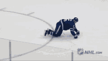 Toronto Mapleleafs GIF - Toronto Mapleleafs Hockey GIFs