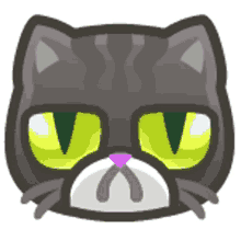 cat kitty mad grumpy grumpy cat