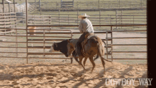 Chasing Cattle Booger Brown GIF - Chasing Cattle Booger Brown The Cowboy Way GIFs
