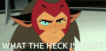 Catra What The Heck GIF - Catra What The Heck Oioioi GIFs