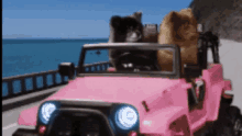 Dogs Car GIF - Dogs Car Funny Animals GIFs