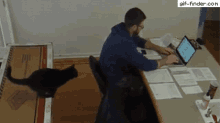 Cat Jump GIF - Cat Jump Work From Home GIFs