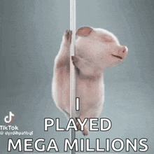 a pig is standing on a pole with the words `` i played mega millions '' .